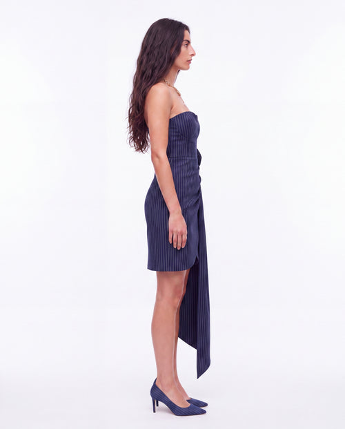 PINSTRIPE ROSE dress